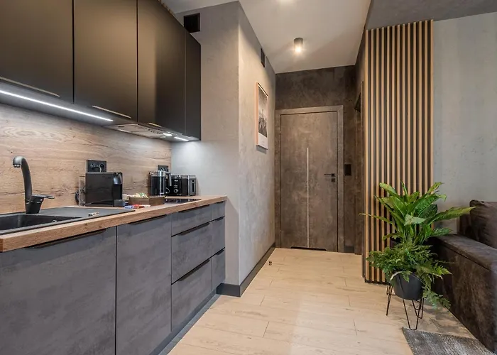 Loft House Premium *