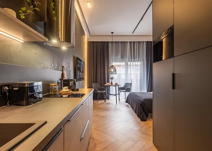 Loft House Premium דירה