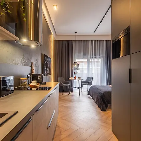 Loft House Premium 公寓