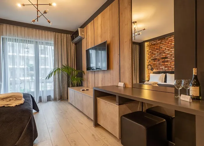 Loft House Premium 公寓 *